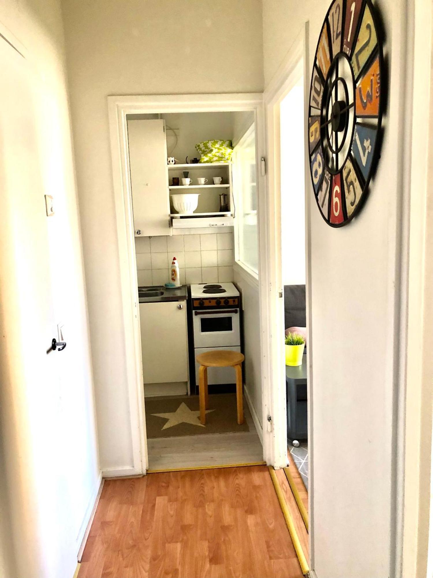 Scandinavian Sweet 30 Tyoemiehenkatu 2 Apartment Helsinki